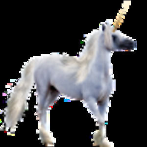 Meet your Posher, Reilly